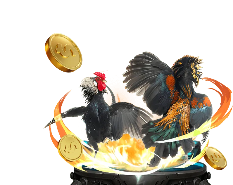 Các loại hình cá cược đa dạng tại ku ku777